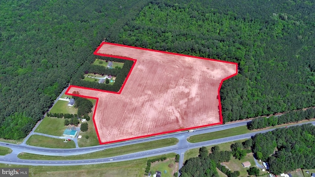 Worcester Hwy, Pocomoke City MD, 21851 land for sale