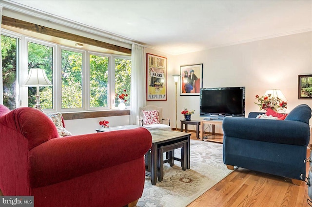 living room with light wood-type flooring, crown molding, and a healthy amount of sunlight