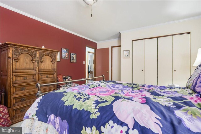 carpeted bedroom featuring ceiling fan and ornamental molding