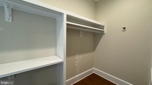 spacious closet with dark hardwood / wood-style flooring