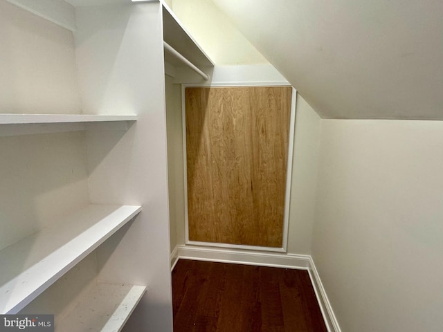 walk in closet with wood-type flooring