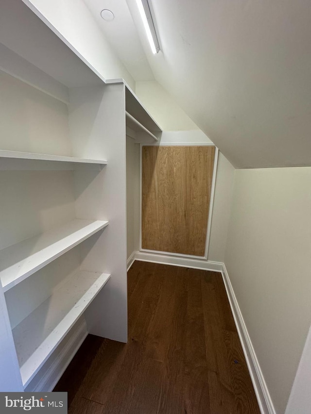 walk in closet featuring dark hardwood / wood-style floors