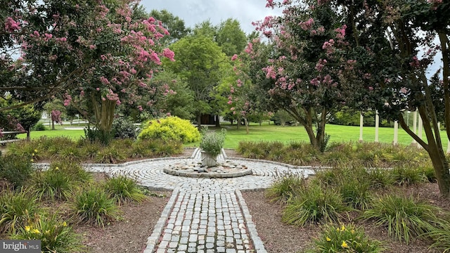 view of community with a yard