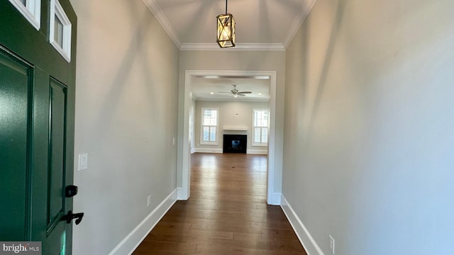 hallway featuring wood-type flooring and ornamental molding