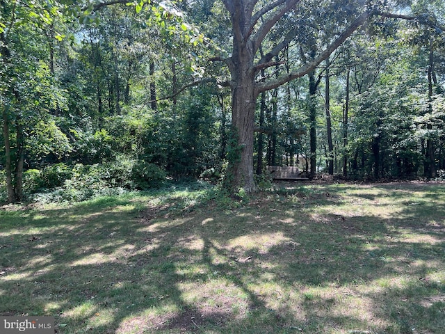 view of yard with a view of trees