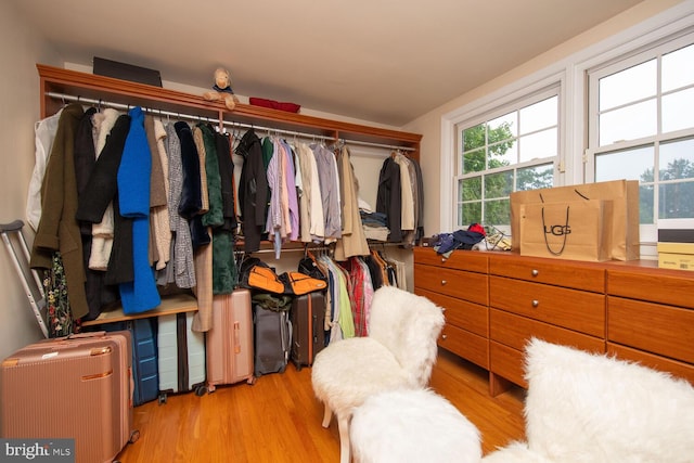 spacious closet with light wood-type flooring