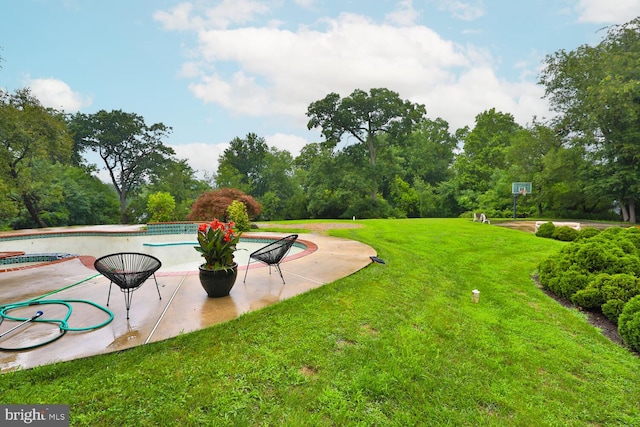 view of yard featuring a patio