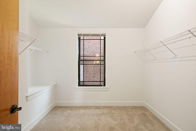 walk in closet with light colored carpet