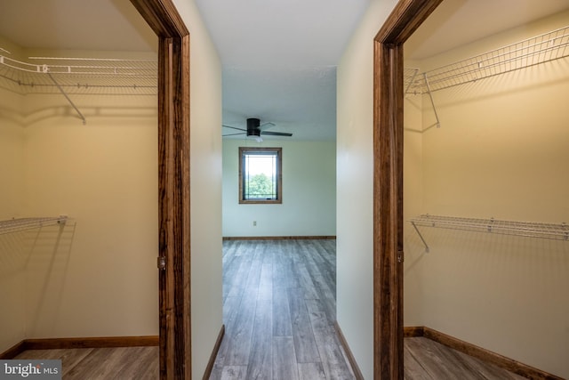 walk in closet with ceiling fan and hardwood / wood-style flooring