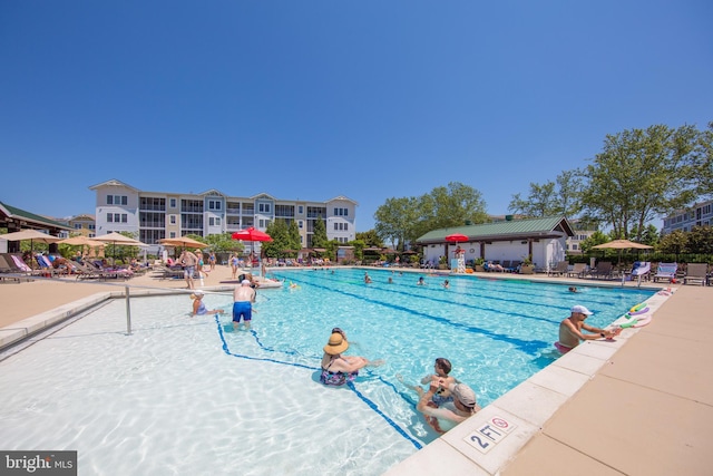 view of pool featuring a patio area