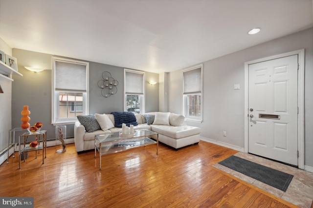 living room featuring hardwood / wood-style floors