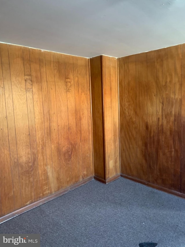 empty room featuring carpet floors and wooden walls