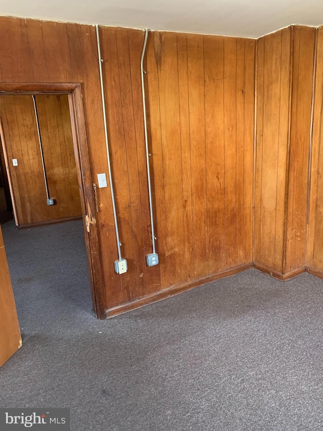 interior space featuring wooden walls and carpet flooring