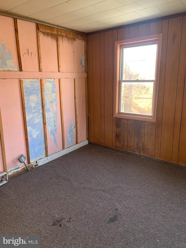 carpeted spare room with wooden walls