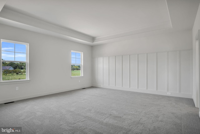 empty room featuring a tray ceiling and light carpet