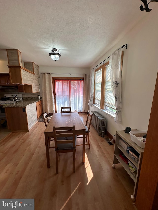 dining room with light wood-type flooring, a textured ceiling, and radiator heating unit