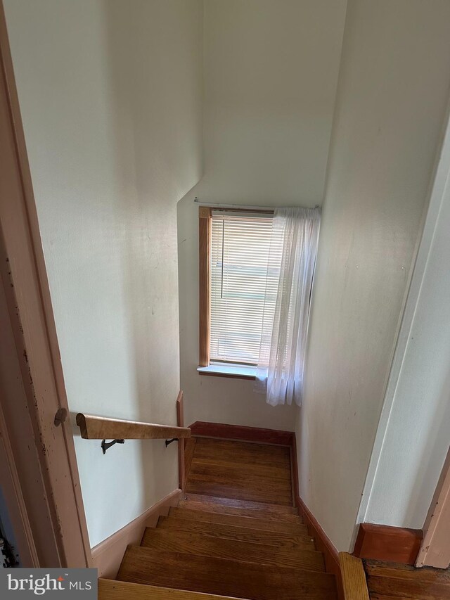 stairway with wood-type flooring