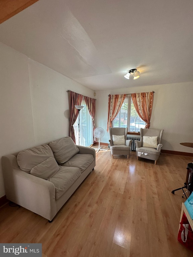 living room with light hardwood / wood-style floors