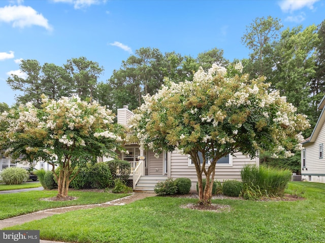 view of property hidden behind natural elements featuring a front lawn