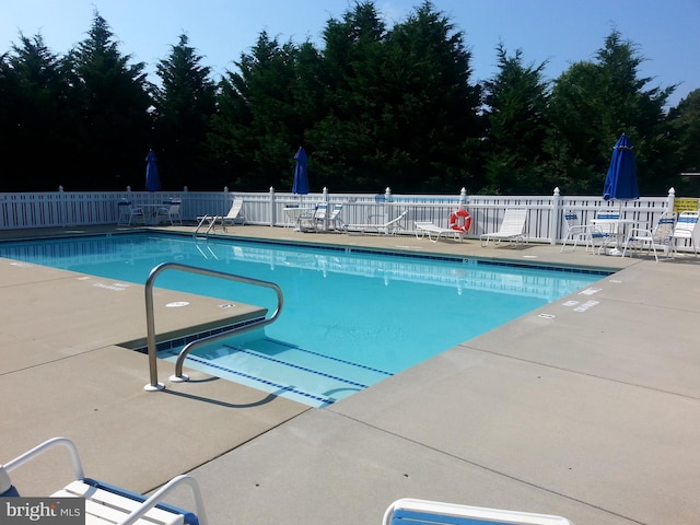 view of swimming pool featuring a patio