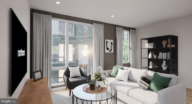 living room with wood-type flooring