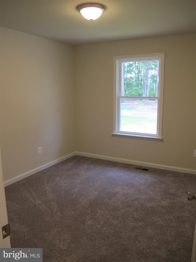 spare room with carpet floors