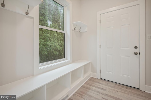 mudroom featuring plenty of natural light and light wood-type flooring