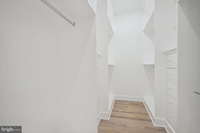 spacious closet featuring light wood-type flooring