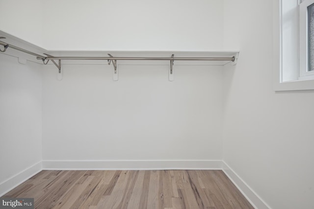 spacious closet with light wood-type flooring