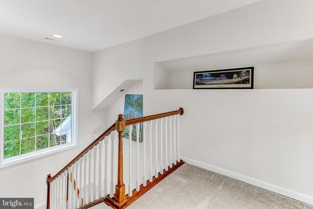 stairs featuring carpet floors