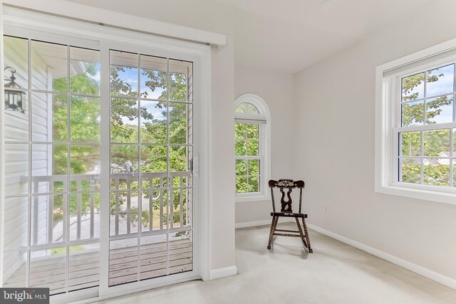 doorway to outside with carpet flooring