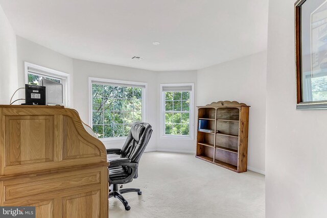 home office featuring light carpet