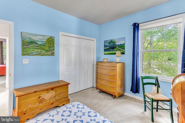 carpeted bedroom featuring a closet and multiple windows