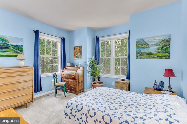 bedroom featuring carpet floors and multiple windows