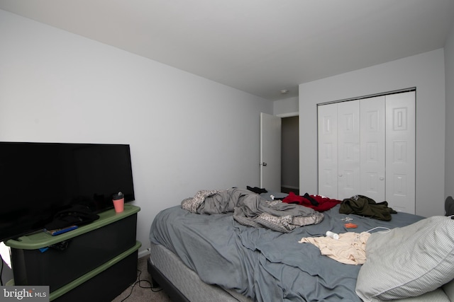 bedroom with a closet and carpet floors