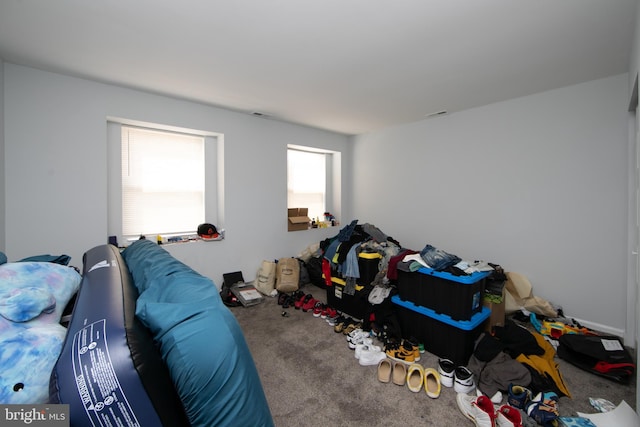 playroom with carpet floors