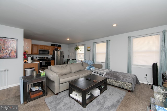 living room featuring light carpet