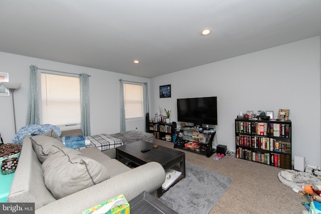 living room with carpet flooring