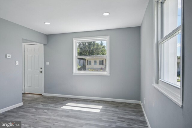 spare room featuring wood-type flooring