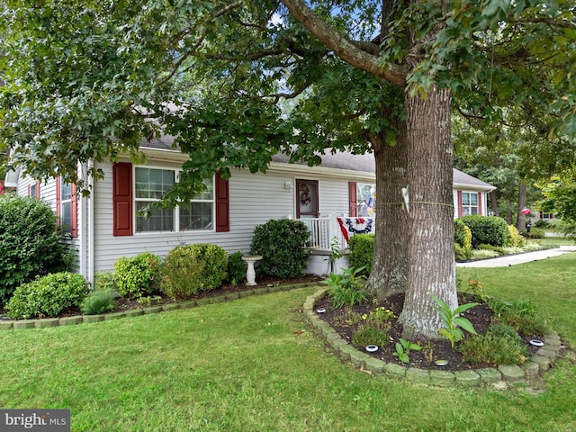 view of front facade with a front lawn