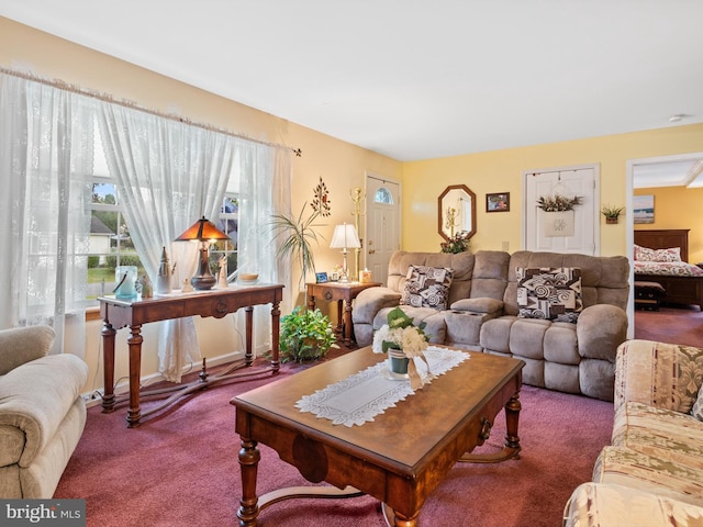 living room featuring carpet flooring