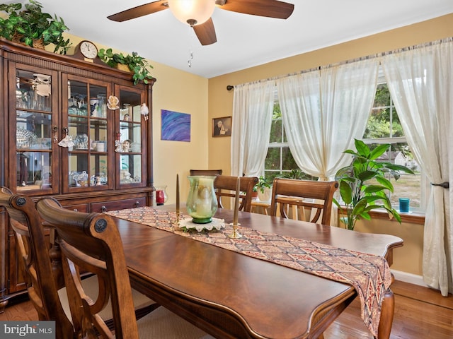 dining area featuring a healthy amount of sunlight, wood-type flooring, and ceiling fan