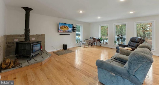 living room featuring light hardwood / wood-style floors and a wood stove