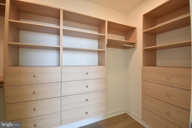 spacious closet featuring dark hardwood / wood-style flooring