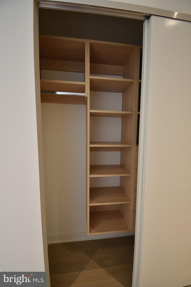 view of closet