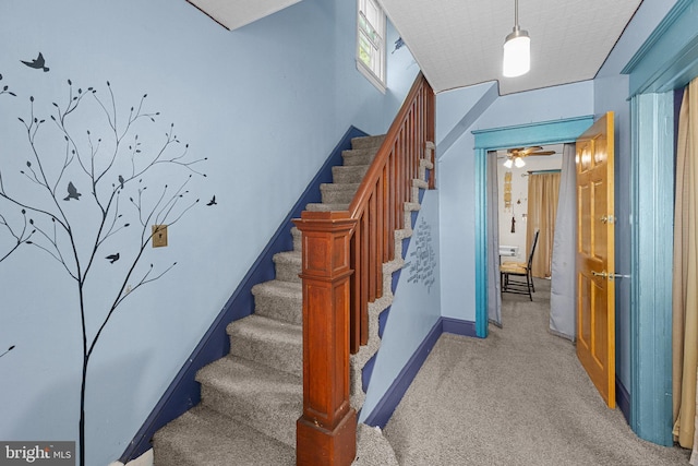 stairway featuring carpet floors