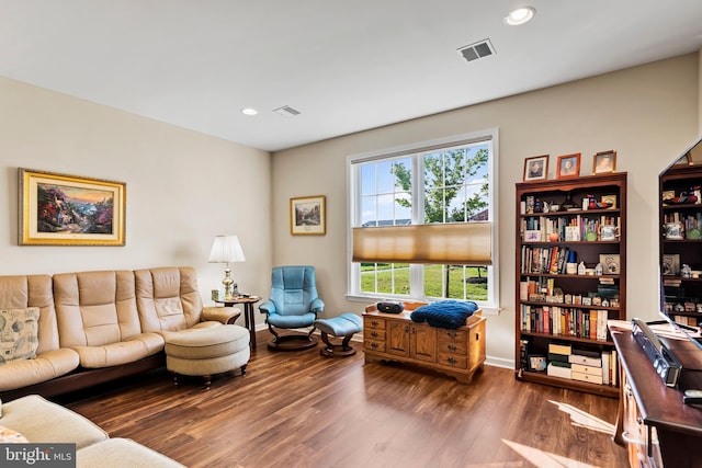 living room featuring dark wood-type flooring