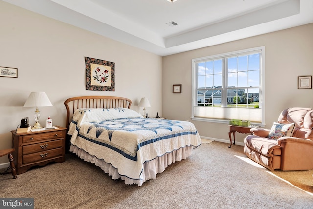 carpeted bedroom featuring a tray ceiling