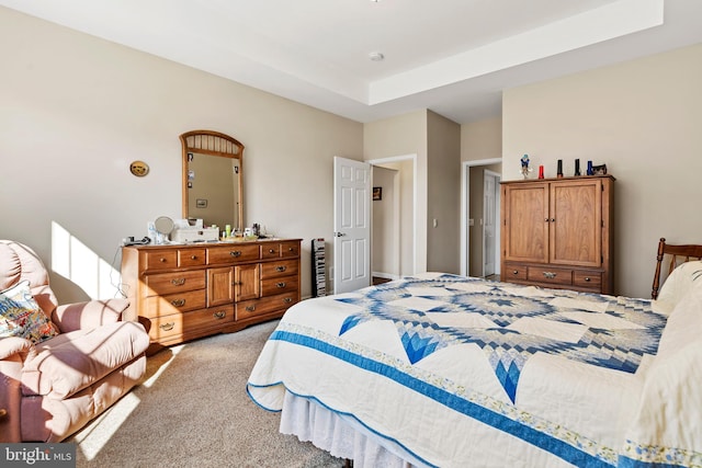 carpeted bedroom with a raised ceiling