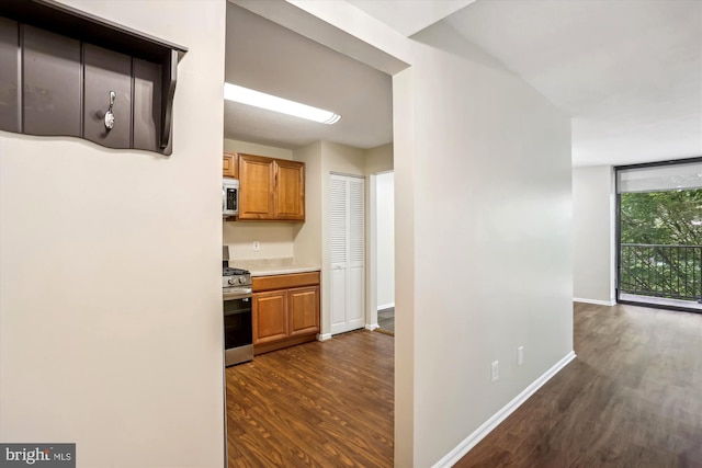 kitchen featuring stainless steel appliances and dark wood-type flooring